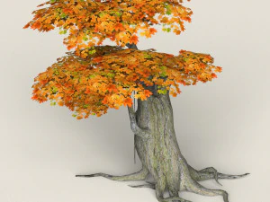 low poly maple tree 04 3D Model