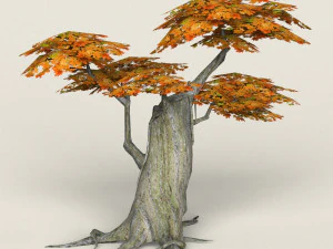 low poly maple tree 04 3D Model