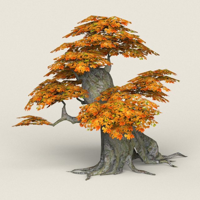 low poly maple tree 05 3D Model .c4d .max .obj .3ds .fbx .stl .blend 