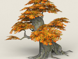 low poly maple tree 05 3D Model