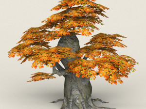 low poly maple tree 05 3D Model
