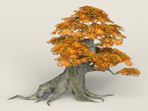low poly maple tree 05 3D Model