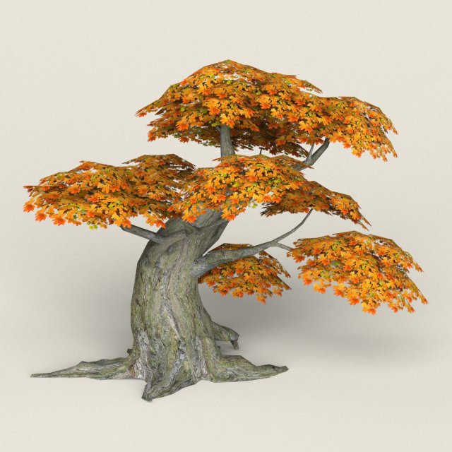 low poly maple tree 06 3D मॉडल .c4d .max .obj .3ds .fbx .stl .blend 