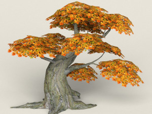 low poly maple tree 06 3D Model