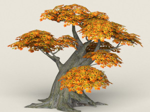 low poly maple tree 06 3D मॉडल