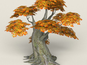 low poly maple tree 06 3D मॉडल