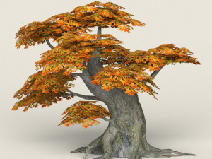 low poly maple tree 06 3D मॉडल