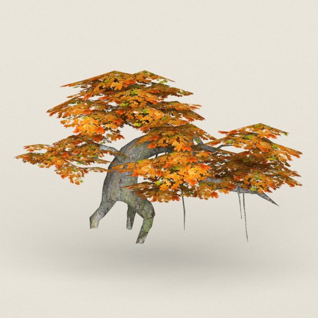 low poly maple tree 07 3D Model .c4d .max .obj .3ds .fbx .stl .blend 