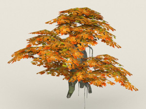 low poly maple tree 07 3D Model
