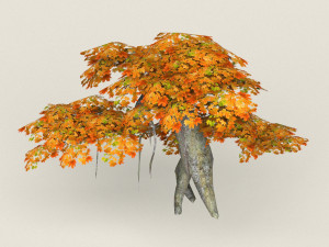 low poly maple tree 07 3D Model