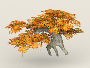low poly maple tree 07 3D Model
