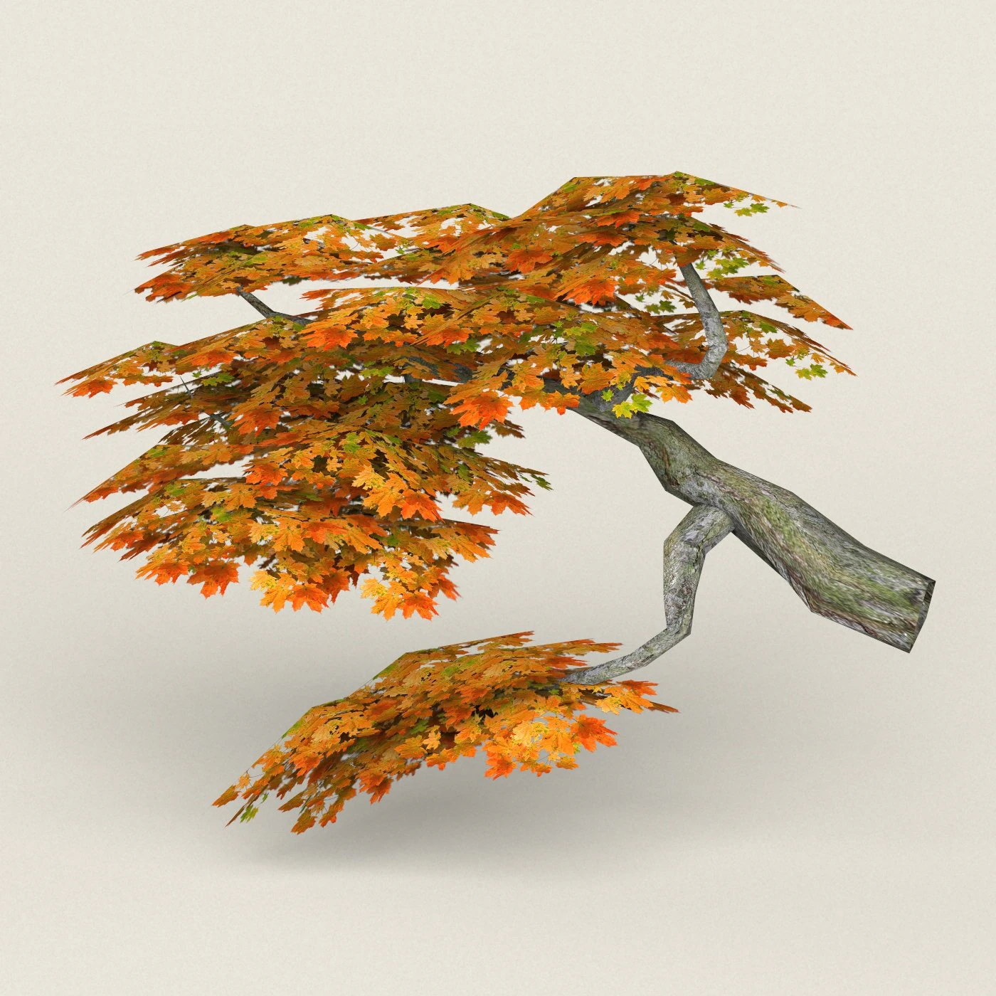 low poly maple tree 08 3D Model .c4d .max .obj .3ds .fbx .stl .blend 