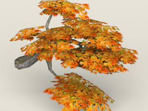 low poly maple tree 08 Model 3D