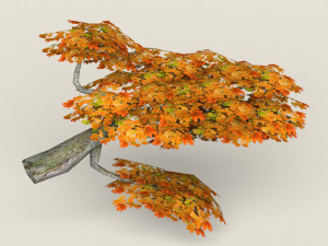 low poly maple tree 08 Model 3D