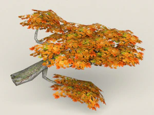 low poly maple tree 08 3D Model