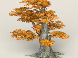 low poly maple tree 09 3D Model