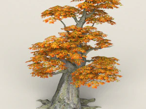 low poly maple tree 09 3D Model