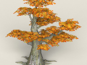 low poly maple tree 09 Modèle 3D