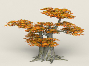low poly maple tree 10 3D मॉडल