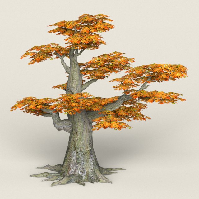 low poly maple tree 11 3D Model .c4d .max .obj .3ds .fbx .stl .blend 