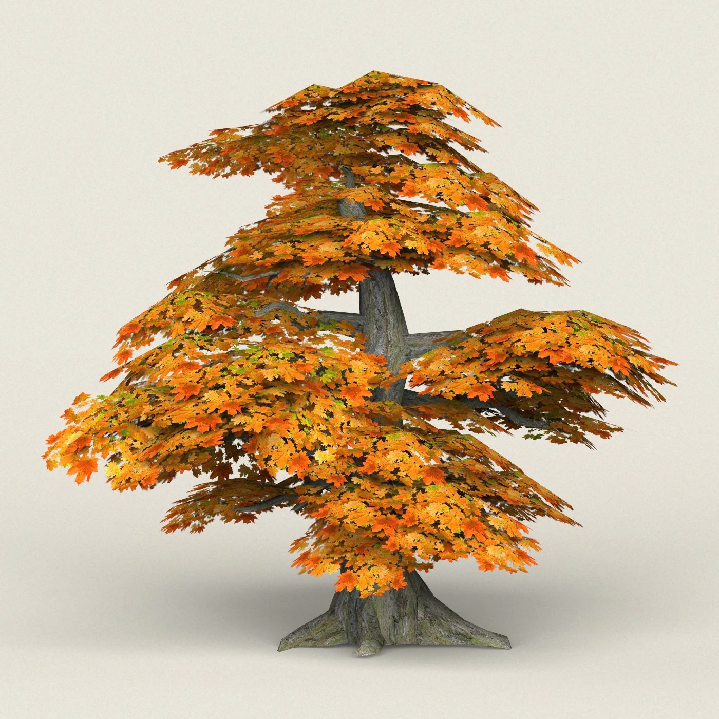 low poly maple tree 12 3D Model .c4d .max .obj .3ds .fbx .stl .blend 
