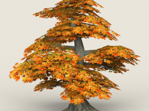 low poly maple tree 12 3D मॉडल