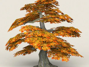 low poly maple tree 12 3D Model