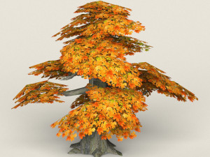low poly maple tree 12 Modelo 3D