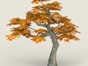 low poly maple tree 13 3D मॉडल