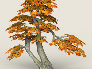 low poly maple tree 14 3D Model