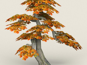 low poly maple tree 14 3D 모델