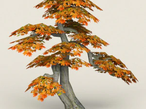 low poly maple tree 14 3D Model