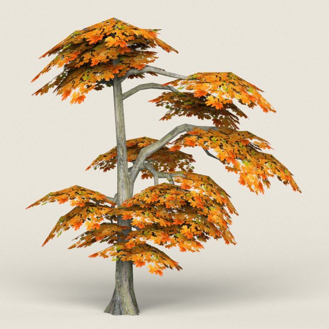 low poly maple tree 15 3D Model .c4d .max .obj .3ds .fbx .stl .blend 