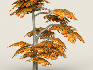 low poly maple tree 15 3D मॉडल