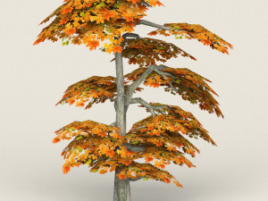 low poly maple tree 15 3D Model