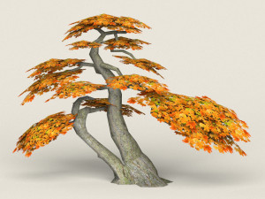 low poly maple tree 16 3D मॉडल