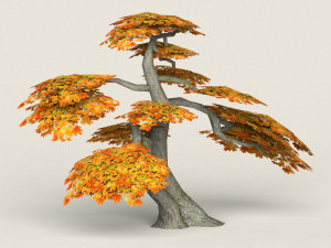 low poly maple tree 16 Model 3D