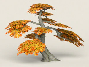 low poly maple tree 16 3D Model