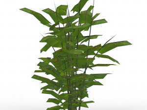 bamboo tree 01 3D 模型