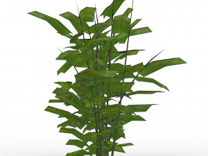 bamboo tree 01 3D Model