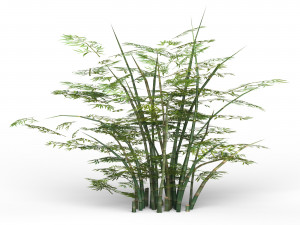 bamboo tree 02 3D मॉडल