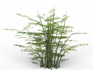 bamboo tree 02 Modelo 3D