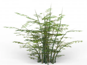 bamboo tree 02 3D Model