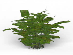 bamboo tree 02 3D Model