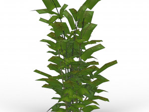 bamboo tree 03 Modèle 3D