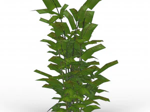 bamboo tree 03 3D Model