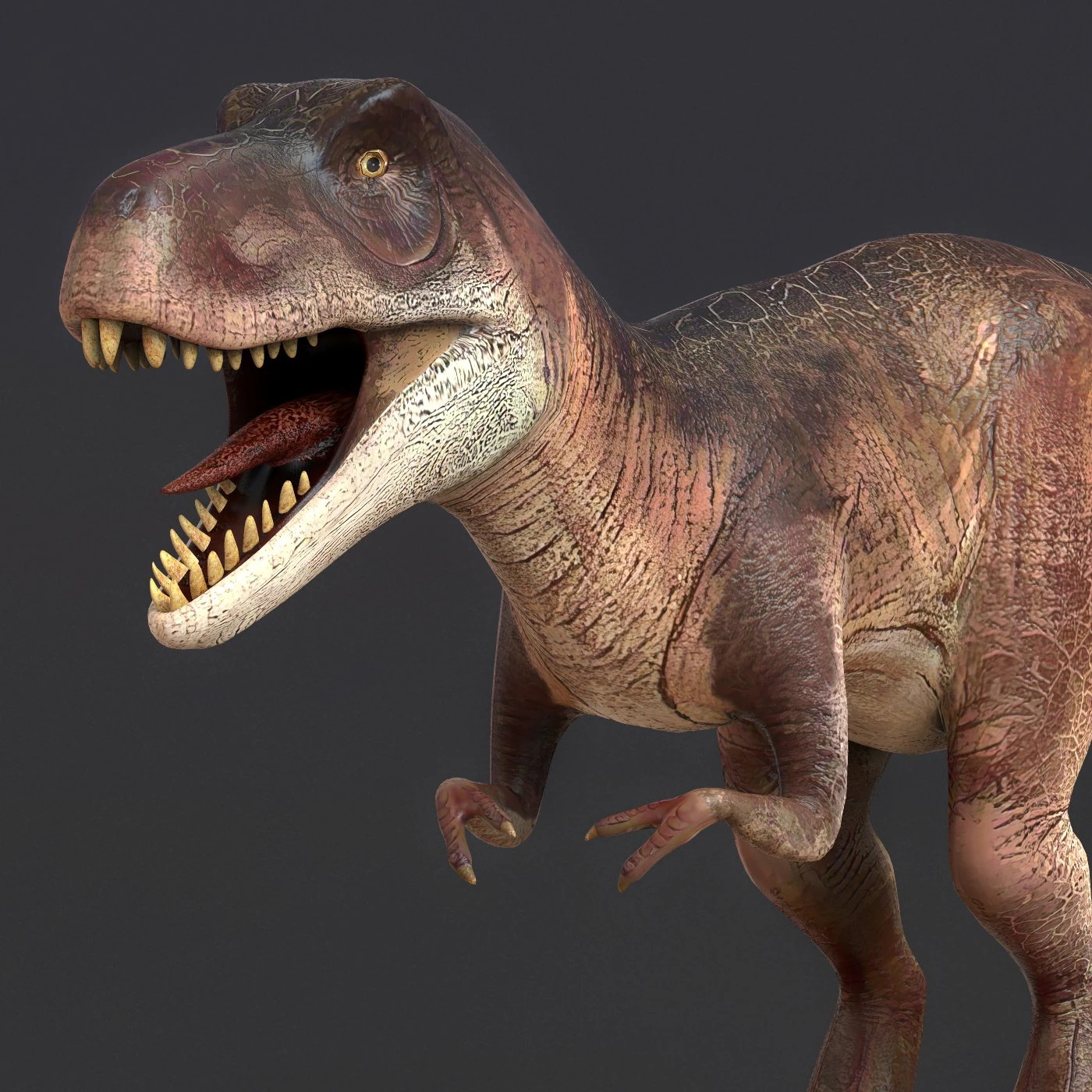 young trex dinosaur 3D Model .c4d .max .obj .3ds .fbx .stl .blend 