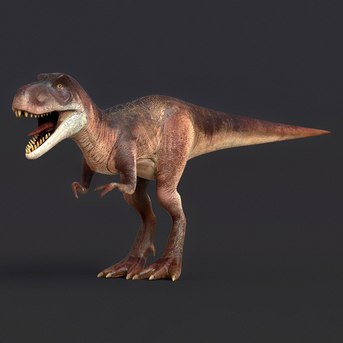 Динозавр 3д. Картинки динозавров в 3d. Динозавры 3д девушки. Dinosaur Trex 3d model Musey