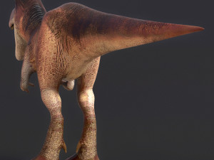 young trex dinosaur Modèle 3D