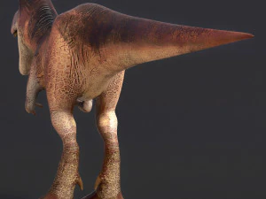 young trex dinosaur 3D Model